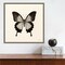 Butterfly III BW Crop by Debra Van Swearingen 16-in. W x 16-in. H. Canvas Wall Art Print Framed in Grey